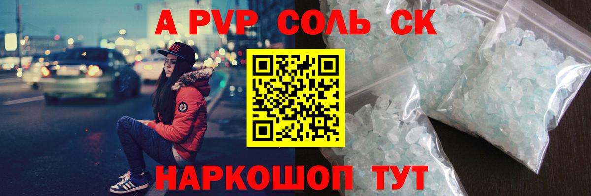APVP СК Кузнецк