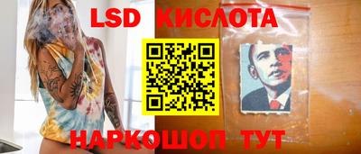 ECSTASY Камышлов