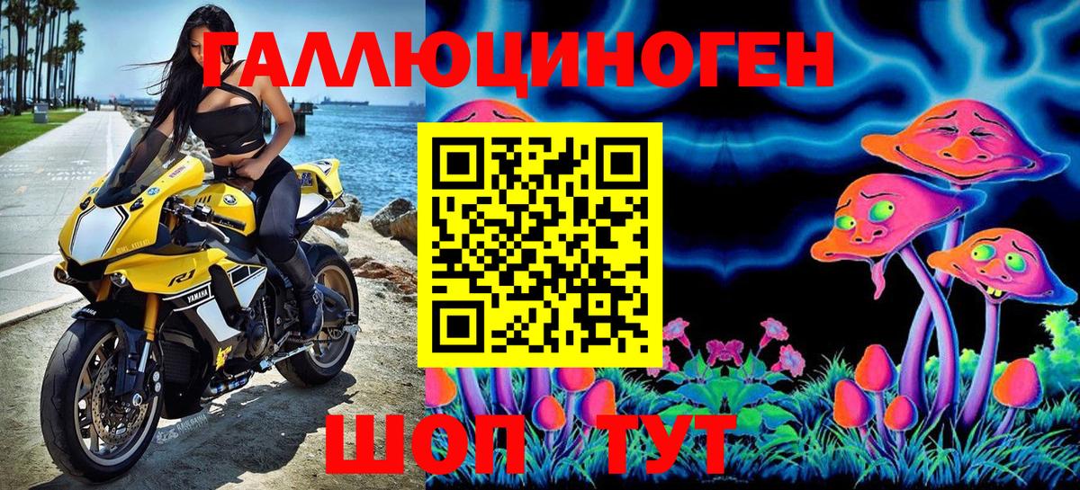 Псилоцибиновые грибы GOLDEN TEACHER  Галлюциногенные грибы Psilocybe  Кузнецк  Вход с VPN 